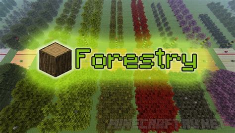 forestry 1.16.5|Download Forestry .